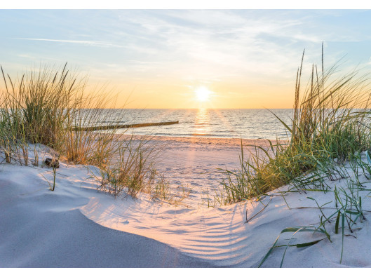 Photo wallpaper beach sea dunes Baltic Sea view for bedroom living room wallpaper