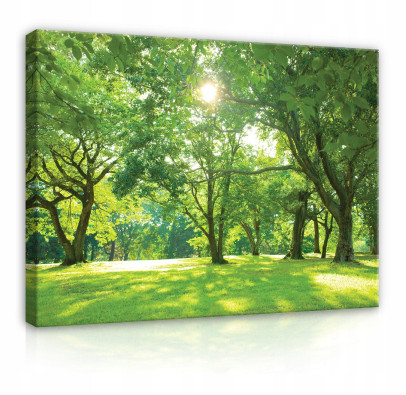 Canvas painting of trees, meadow, nature, large, 60x40