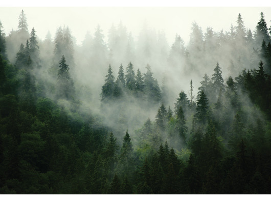 Forest in the fog wall mural for bedroom or living room, non-woven wallpaper,