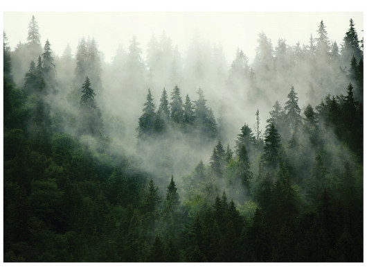 Forest in the fog wall mural for the bedroom or living room, non-woven wallpaper, 400x280