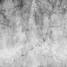 Fényképes tapéta: pálmalevelek betonon és tollak – hálószobába és nappaliba, 150x105 cm