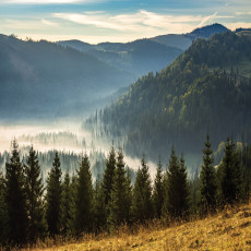Vászonkép: hegyek, táj, természet, erdő
