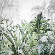 Fotótapéta dzsungel monstera banánlevelek zöld botanika nappali