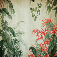 Fotótapéta trópusi levelek monstera zöld piros vintage nappali