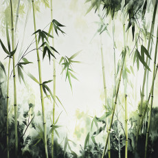 Zöld bambusz mintás fotótapéta, természetes stílus, hálószoba, nappali, flizelin hátú tapéta, 150x105 cm
