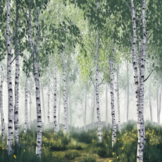 3D-s fotófal: nyírfaerdő, fák, természet – hálószoba vagy nappali falára, 150x105 cm