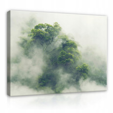 Vászonkép: erdő ködben, természet, dzsungel, 120x80