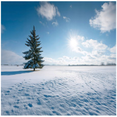 Fotófalitapéta – tájkép, természet, hálószoba, nappali, flizelin hátterű tapéta, 350x250