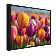 Fekete keretes vászonkép virágok tulipánok nappali hálószoba 40x30