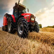 Fali tapéta: piros traktor, búzamező, nappali
