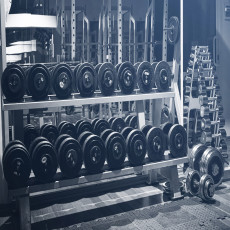 Fali tapéta: edzőterem, súlyzók, fitnesz, nappali