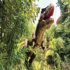 T-Rex dinoszauruszos falikép gyerekek szobájába