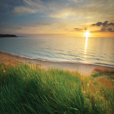 Falfestmény: tengerpart, naplemente, homokdűnék, nappali