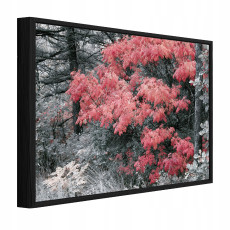 Black-framed canvas painting of a gray forest; nature; living room or bedroom; 60x40