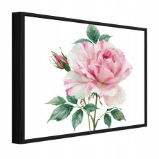 Black-framed canvas painting: flowers, rose, nature; living room, bedroom; 40x30