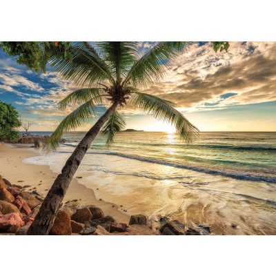 Wall mural tropical beach palm sunset ocean for living room