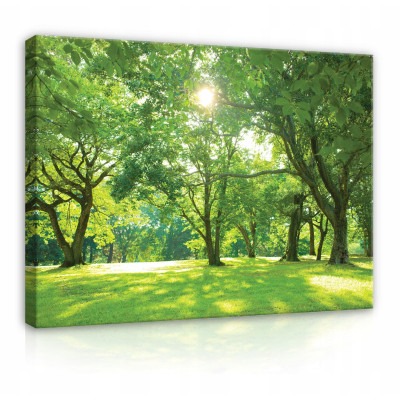 Canvas painting of trees, meadow, nature, large, 60x40