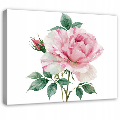 "flowers, rose, nature, pink, white" painting for the bedroom or living room on canvas, 60x40