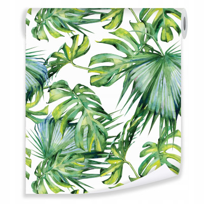 Monstera leveles tap&eacute;ta a falra &ndash; falitap&eacute;t&aacute;k