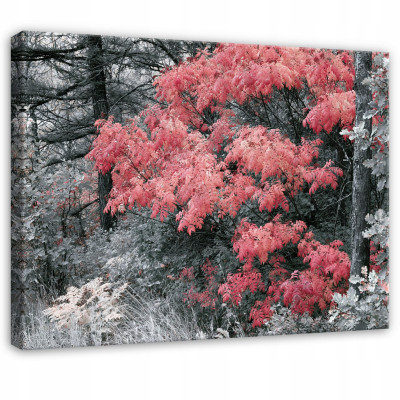 Forest, trees, nature, gray, red painting for the bedroom or living room on canvas, 100x70