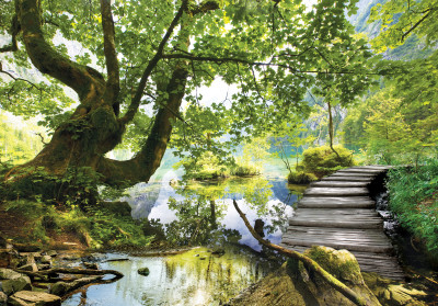 Wall mural lake forest wooden pier nature green landscape