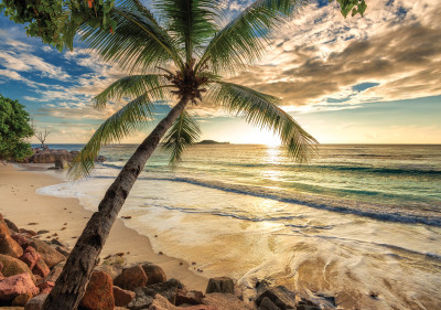 Wall mural tropical beach palm sunset ocean for living room