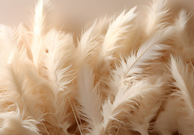 Wall mural beige feathers boho soft texture pastel