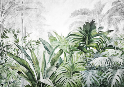 Wall mural tropical jungle monstera banana leaves green botanical