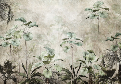 Wall mural tropical jungle palm leaves vintage mint grey botanical