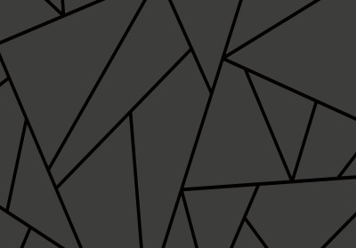 Wall mural geometric triangles black lines dark grey modern loft