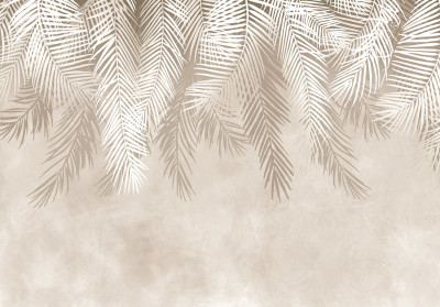 Wall mural palm leaves beige white minimalist boho botanical