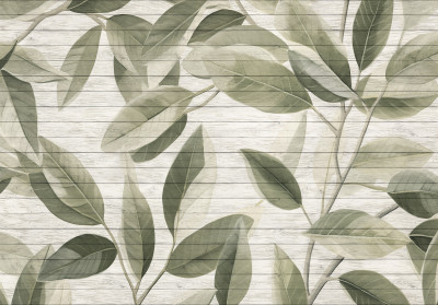 Wall mural large ficus leaves green white wood boards botanical