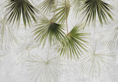 Wall mural fan palm leaves green concrete minimalist botanical