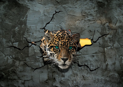 Fototapeta jaguar 3d pęknięta ściana szary salon pokój dziecka tapeta
