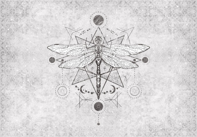 Fototapeta ważka geometria astrologia beton szary salon sypialnia tape